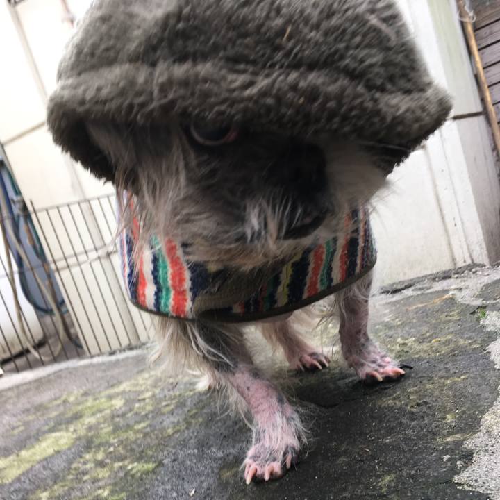 93cd0416 e63e 4ca3 91f2 fc91316b89a1 1514695076039