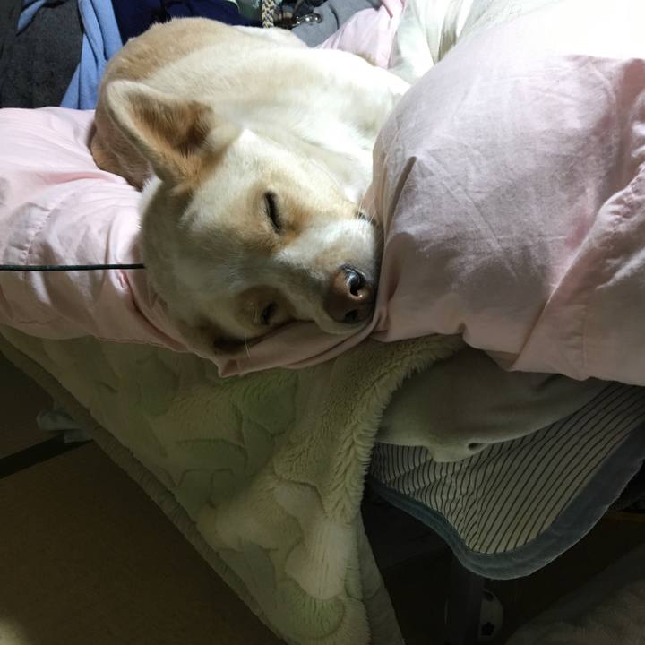 93cd1364 016a 4ef4 8d5f 60014db8d164 1516719124821