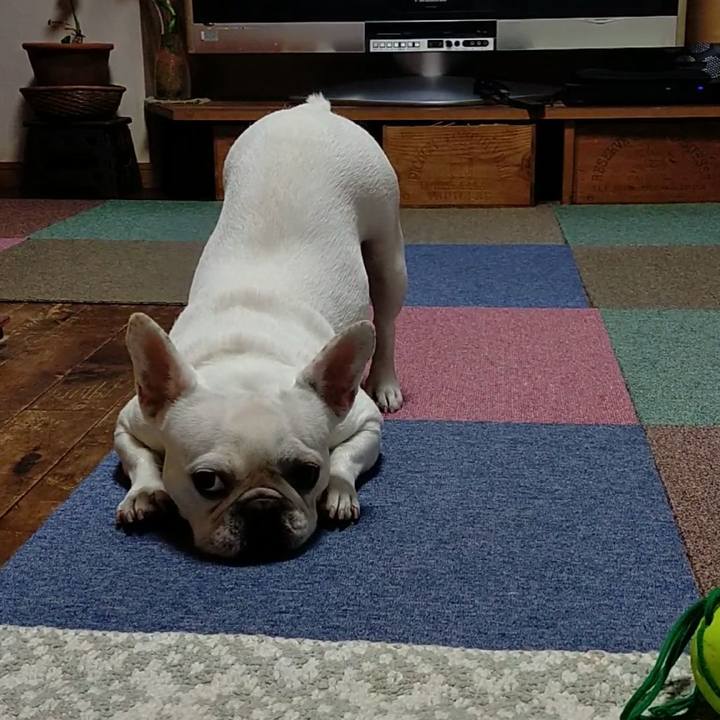 93cd2abd f568 4e32 baa2 b628f840c91c 1659827923303