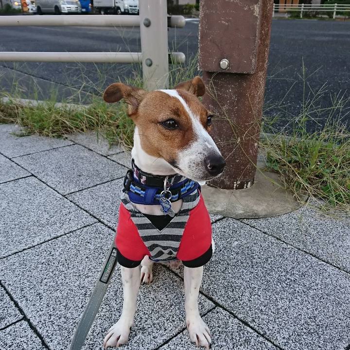 93cd2c8f eb3a 41b0 8ea7 201b41333b09 1538345090324