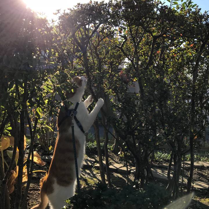 93cd575e 40ea 4882 8373 a27652dd2bc5 1509498671494