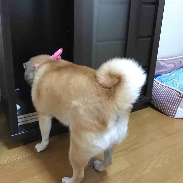 93cd5c3a 060f 48cd 9975 86039e1de3bb 1531377102614