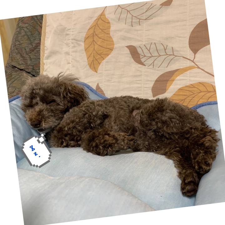 93cd5c42 268e 4a5e be11 b2f60c682636 1594552823257