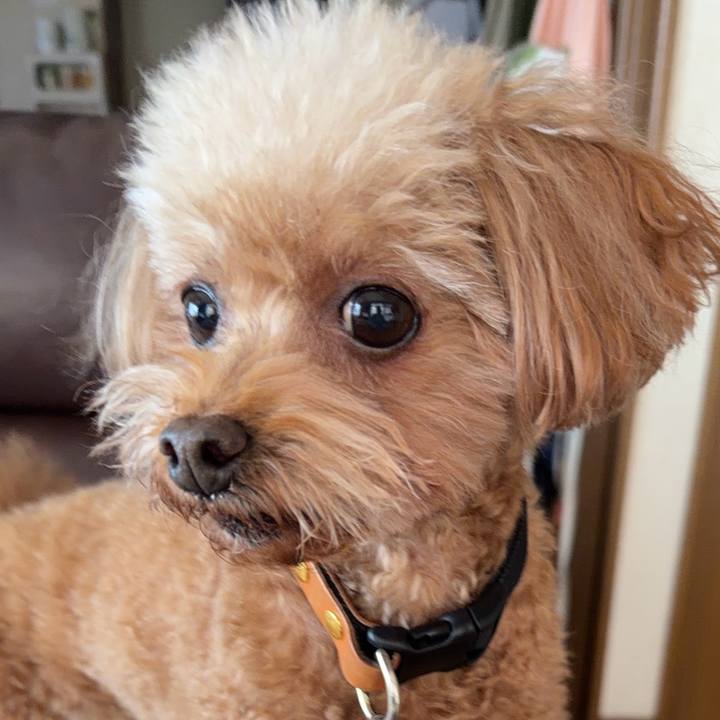 93cd5dea 8725 40a3 9970 19e53601dec4 1767074693082