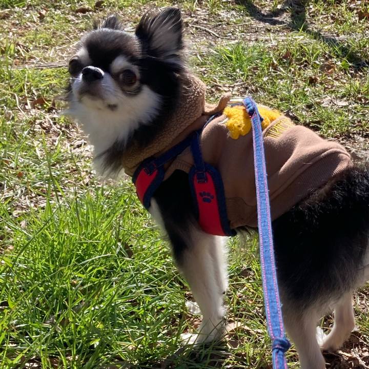 93cd6473 b85d 4706 ac3e 0eb5e8196283 1710047490936