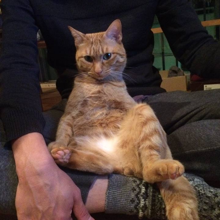 93cd736c 70ad 4276 99f8 d21557749760 1515835606763