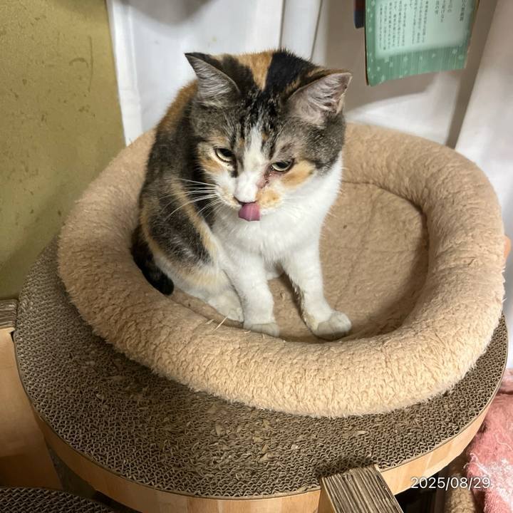 93cd8e4f c74c 437d 8304 f1202013885e 1756418854188