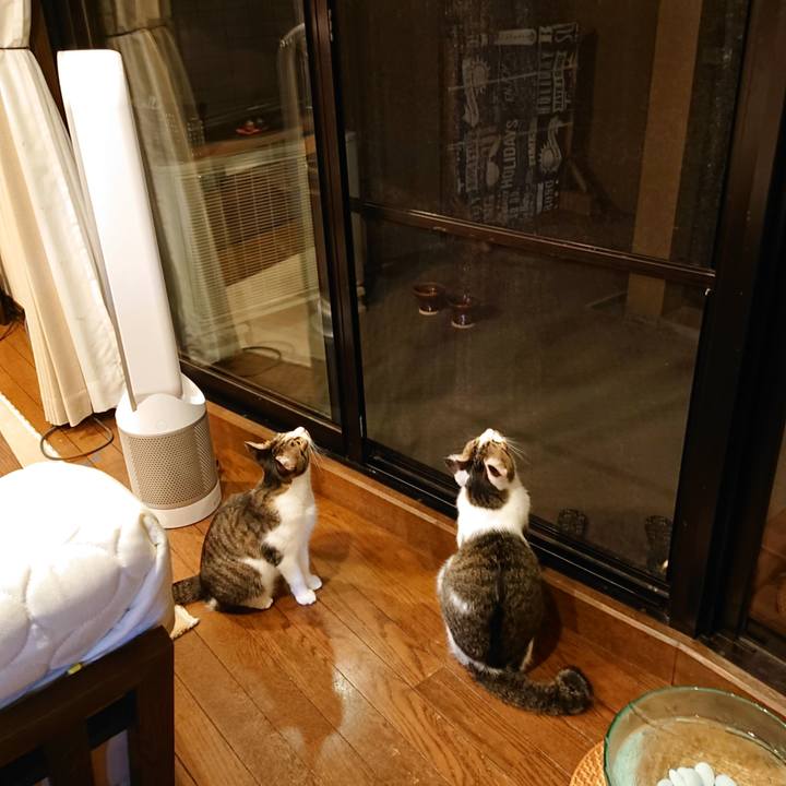 93cd9448 e092 4d04 96e0 58bd7f48ee7c 1599365213804