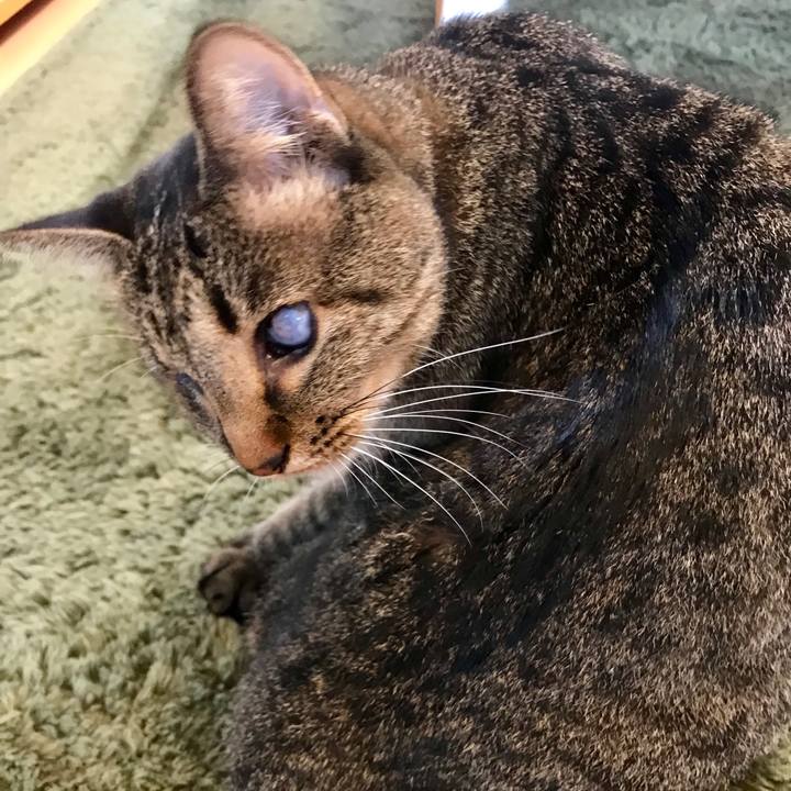 93cdbe2b 014b 4565 8226 f0f6e6a2b960 1539345661454