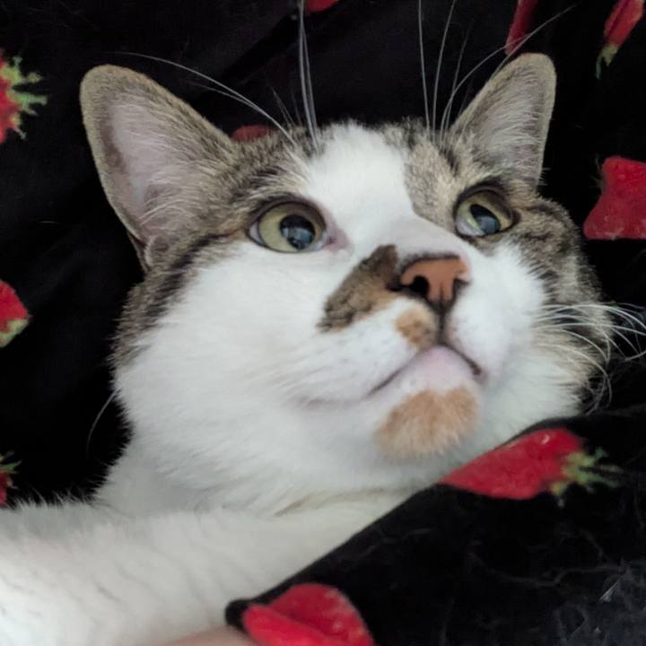 93cdc1db b301 4fe2 a750 bd6b6ef66612 1748434620571