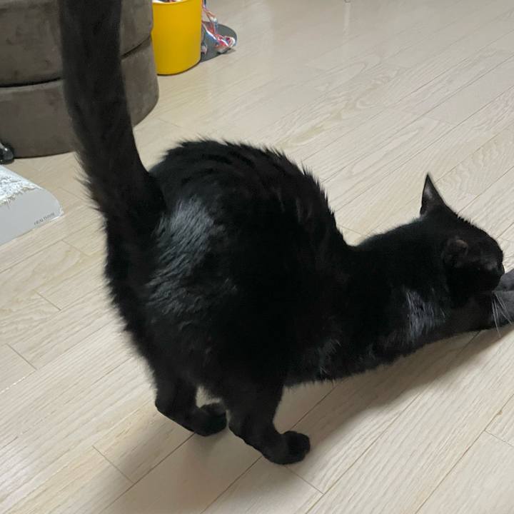 93cdc7f6 cb69 4a7f 98fc 8e446e8fbe78 1680614723587