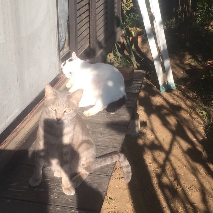 93ce35e0 f62b 4121 a516 c50cc2a885a2 1541940757797