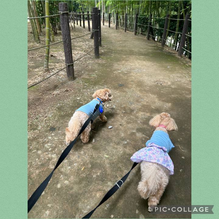 93ce5378 153c 4fd5 bff5 02af10a75bab 1691726986519