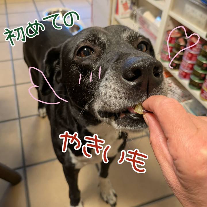 93ce5bf5 cc8d 4a77 9992 e4d679b2cd98 1734852736219