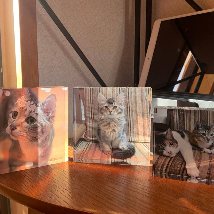 93ce80c8 8acb 48fd 83f9 7247d499882f 1752101155211