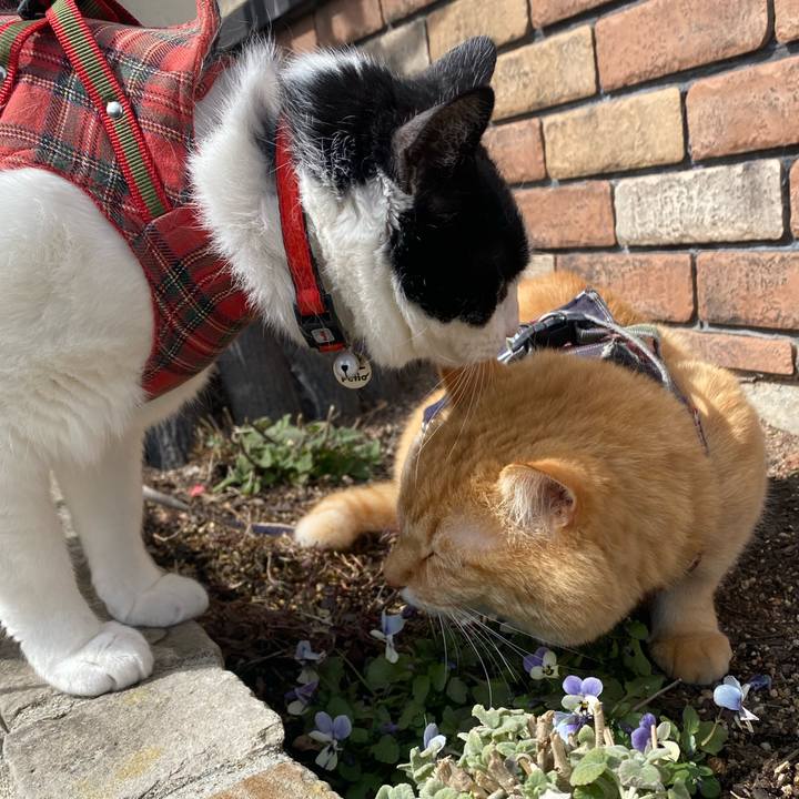 93ceef6c e34e 4a30 8ee4 cefd9b55eddf 1741406049716