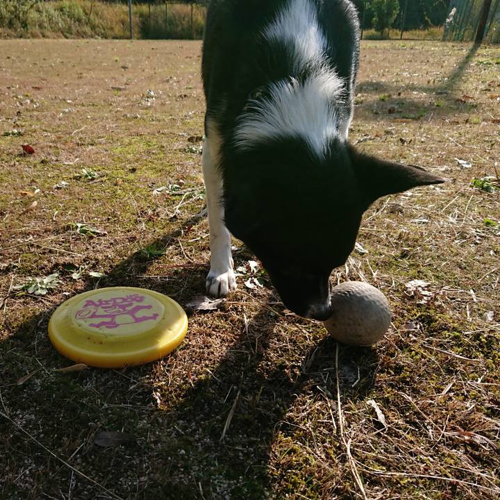 93cef0c3 ca8b 47ca af6a 11d64890406f 1511752699665