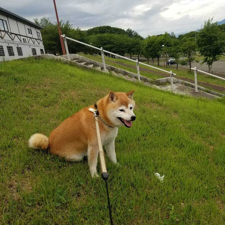 93cef3b4 2946 4c53 8249 b1b6ad95b022 1657442788208