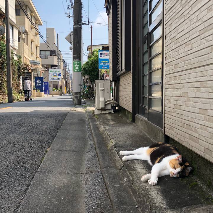 93cf0a07 f99a 472f b77e d826af071c7d 1563437013311