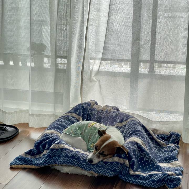 93cf0cfb f418 4071 b702 d72222878a94 1749513326309