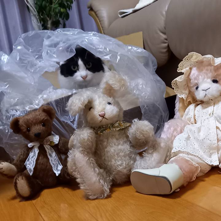 93cf46ac 2c21 4ae0 a8d5 b34eacb1f924 1651927591281