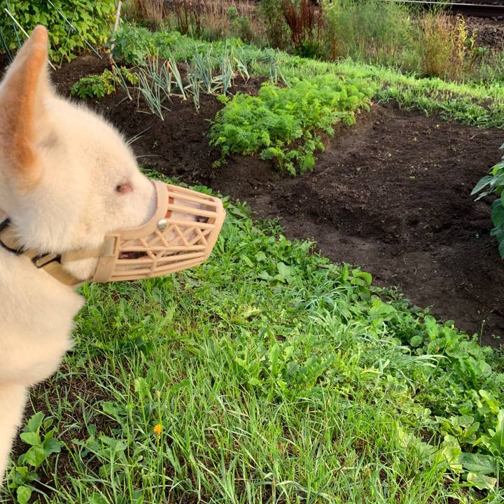 93cf5c1c e5f0 4a3a 8431 a7b98dc0c2e7 1565731853610