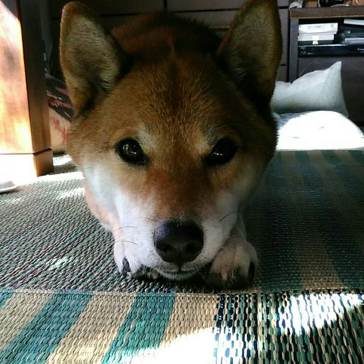 93cf6f74 4cef 43b9 a432 cb08ba91a6e7 1569889247332