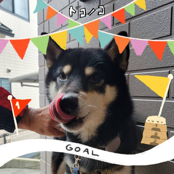 93cfa286 b2e7 4b0a b1eb 5c3f30b33f31 1729385544751
