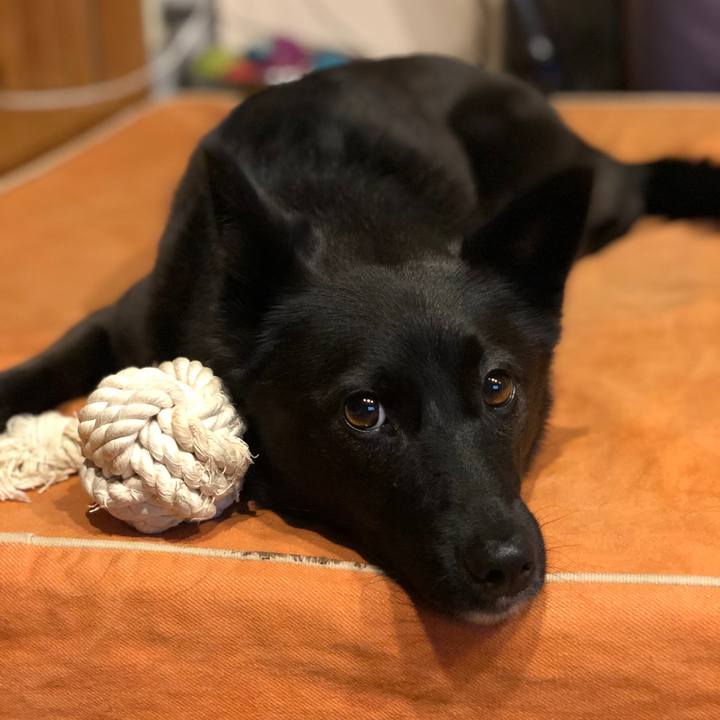 93cfc368 6323 4be1 8e8b 60dfef802081 1570954685225