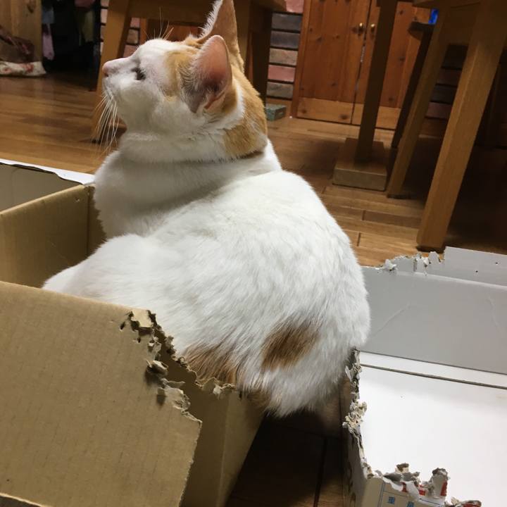 93cfc87a 5c33 4b1c 8ef4 523b2959472b 1513338424370