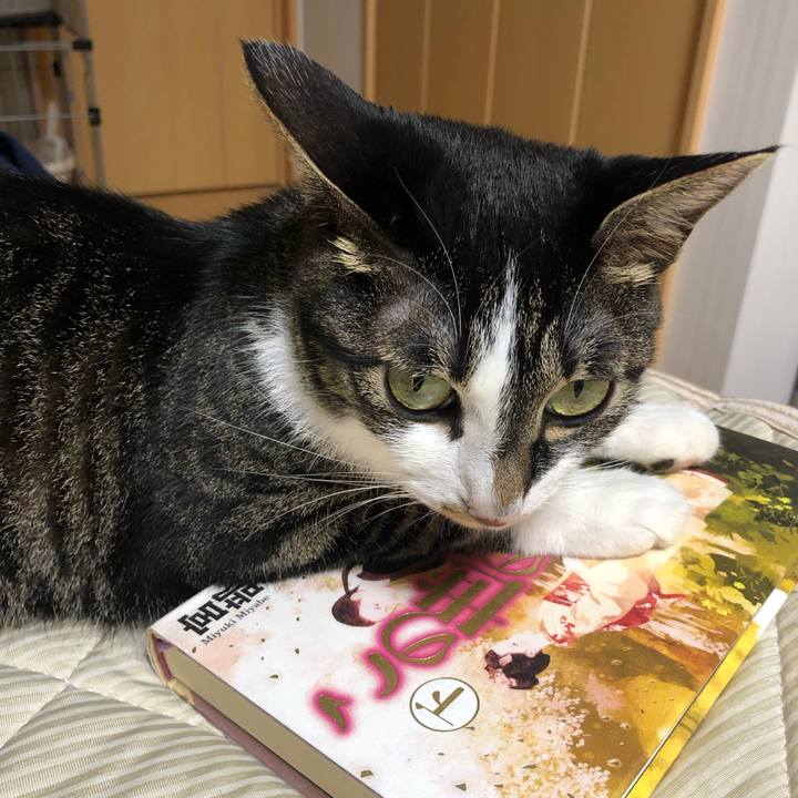 93d01539 5609 4e13 890b 6df3afa75e38 1564790619361