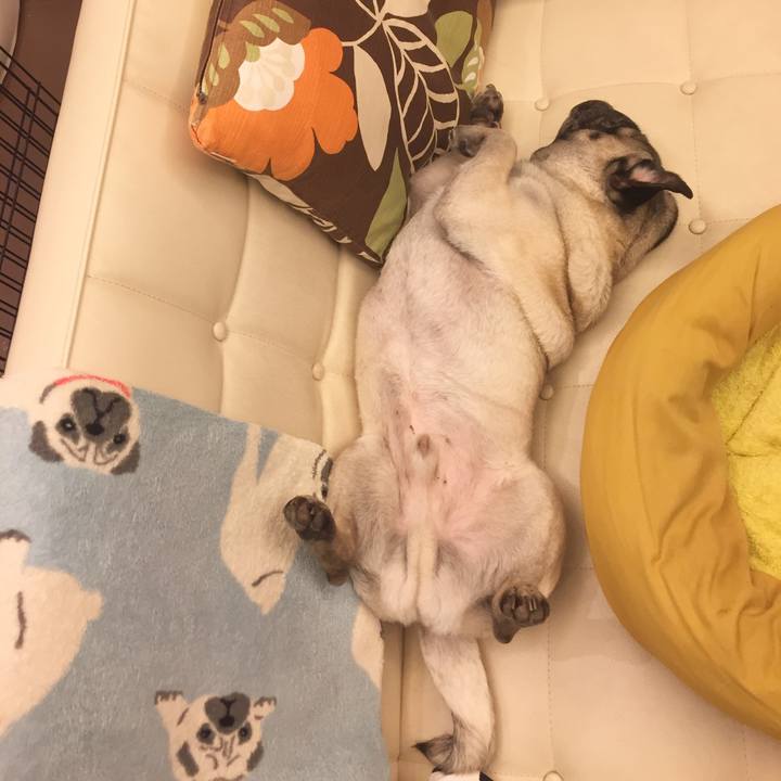 93d026c4 ec9f 439e 8833 2e138f52dcb5 1556579879231