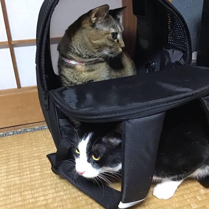 93d0fa0c 6b89 4266 a68a 5fd0ad31d89d 1701252941016