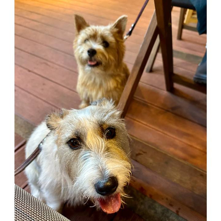 93d0fb7b c6a0 4d8c 83ef 22f507ec4264 1759710769687