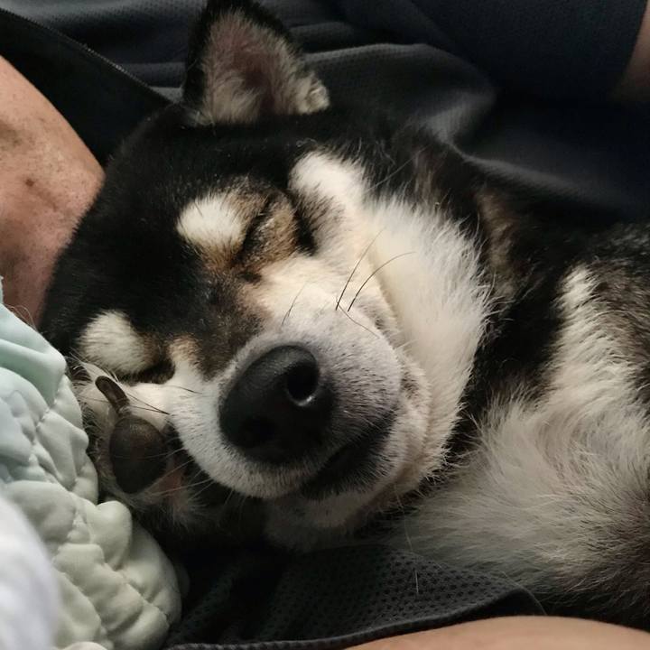 93d103cc c7dc 4ab0 9f10 6d97a77b2c95 1613449707499