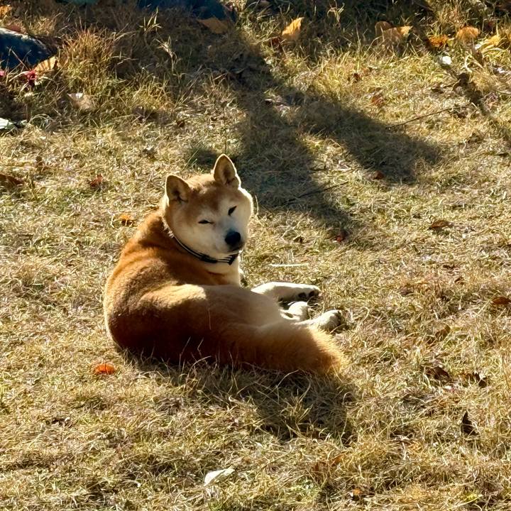 93d13259 2d14 487a 8a7d edda89b0f2f1 1768490606782