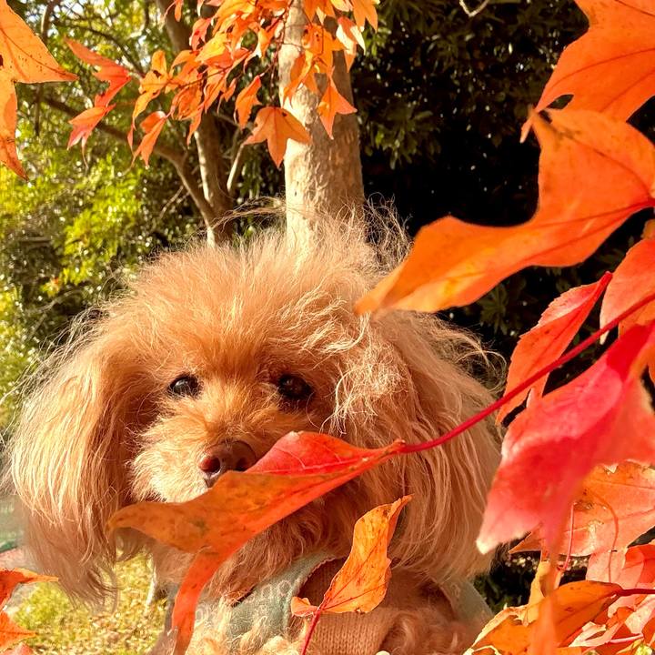 93d142f0 f557 4a18 ad67 ffbbea5dcbf3 1764148749577