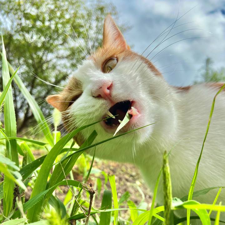 93d15291 aef6 4a99 adf7 b450038635a1 1600077614416