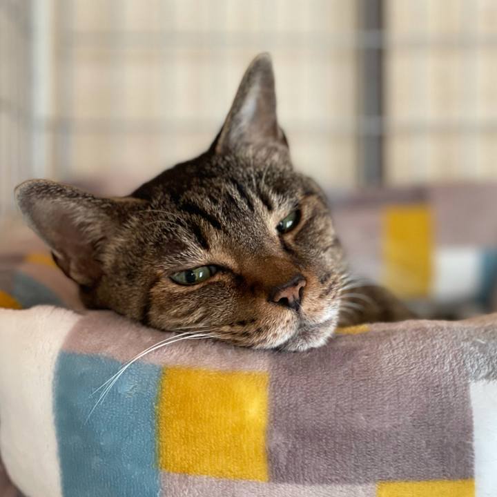 93d1591b c26f 4a75 883c b36ef4ec4993 1612575125999