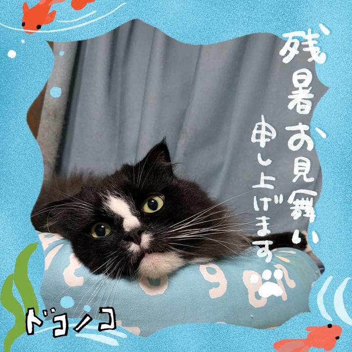 93d17d9d d54a 456a 8f7d cec979cddafa 1723455525331