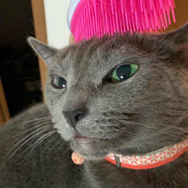 93d1a28b f445 4c36 b1c4 bda5966ceeed 1601076973836