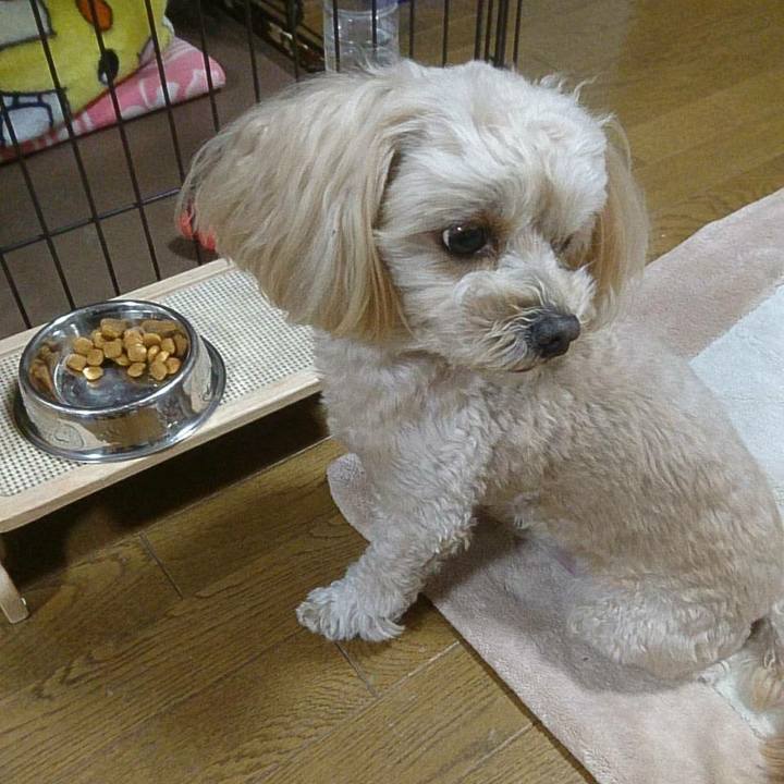 93d1c243 9365 4a6b 8d51 7518892ff6eb 1513862921299