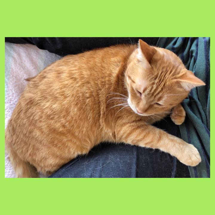 93d1cefe e5fa 4e10 a8a0 f8ae3f3d6434 1587178414303