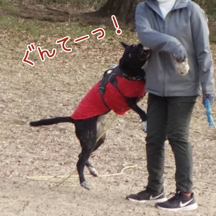 93d1e69b 3c8b 4936 aff7 dfc07076fbf5 1645666014753