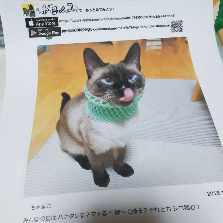 93d1e714 3813 41f5 b907 16b6a7831263 1545556619060