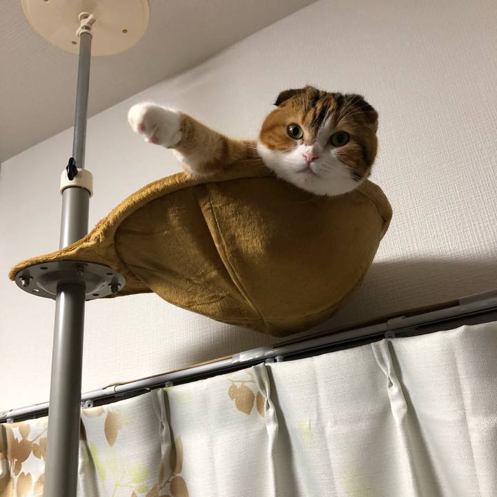 93d24a74 dba7 4b22 81b4 bae3885474f3 1539258268471