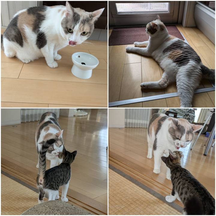 93d25c43 9449 4442 872d 29e3f1cc3c74 1721189798373