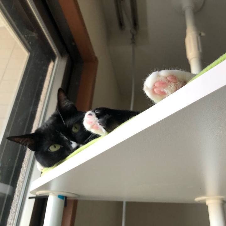 93d273bf 9192 45ba af07 5aa2dfefdeef 1535928543064