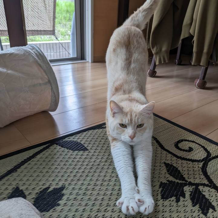 93d286c6 6002 40aa b14a 717065beeb9c 1687386425509