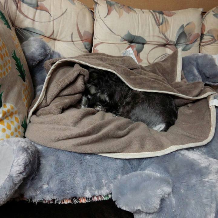 93d28a07 fac4 4572 968f 7f7efed078b8 1509795675935